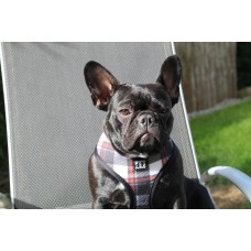 Hundegeschirr The CAMO Harness Gr. M/L