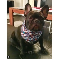 Frenchy and Friends Boho Bandana