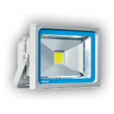  LED Strahler 10W LLS19300